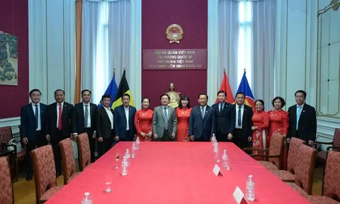 Tây Ninh tăng cường xúc tiến đầu tư, mở ra cơ hội hợp tác mới với các đối tác Vương quốc Bỉ