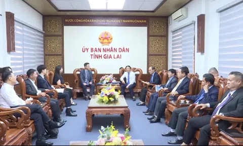 Gia Lai hướng tới mô hình khu công nghiệp xanh và quản trị ESG