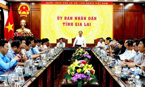 Quản trị hiện đại – Chìa khóa mở dòng vốn xanh vào Gia Lai