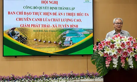 Tây Ninh triển khai Đề án 1 triệu héc-ta lúa chất lượng cao, gắn với tăng trưởng xanh