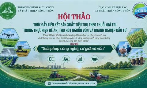 Gỡ điểm nghẽn vốn, liên kết chuỗi để nâng cao giá trị ngành hàng lúa gạo