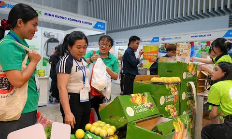 VNFruitVegMarket mở “đường mới” đưa nông sản Việt vào thị trường Singapore