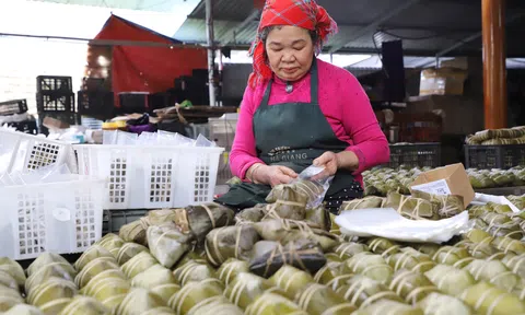 Bánh chưng gù vùng cao: Từ nghề truyền thống đến mô hình HTX hiệu quả