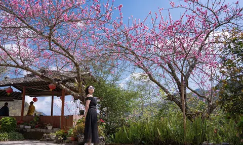 Mùa xuân rực rỡ nơi biên giới Cao Mã Pờ