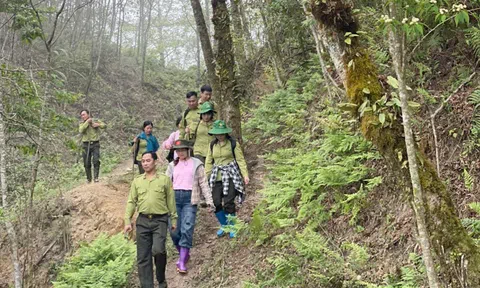 Khi “lá chắn xanh” bước vào kỷ nguyên số