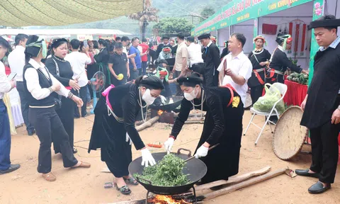 Chè Shan tuyết Cao Bồ: Từ di sản bản địa đến giá trị kinh tế xanh