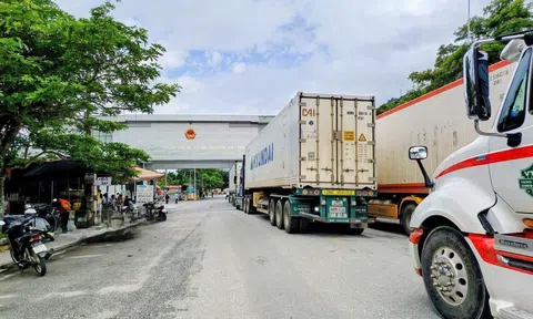 Sầu riêng vào vụ, xe hàng ùn ùn lên Cửa khẩu quốc tế Thanh Thủy