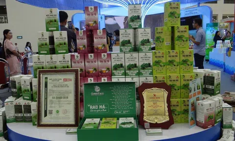 Rau má Qeen Farm - Thức uống tự nhiên từ đồng quê Việt Nam