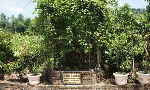 Xanh hoá nền kinh tế không phải là khẩu hiệu mà là nhu cầu của đời sống