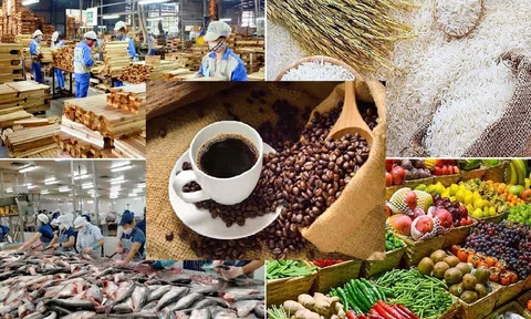 Kỷ lục 70 Tỷ USD Xuất khẩu nông sản 2025 và khát vọng "Căn bếp toàn cầu"