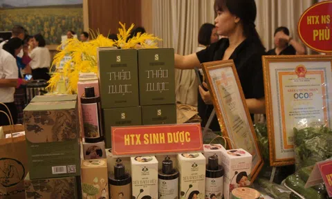 HTX Sinh dược – Hướng đi bền vững từ dược liệu bản địa