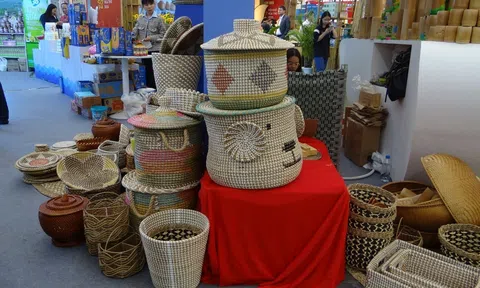 Công ty TNHH Đức Phong (Nghệ An): Nỗ lực bền bỉ của một doanh nghiệp địa phương