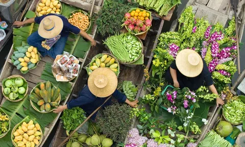 Mùa xuân - mùa gọi những mùa xanh