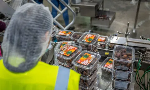 Bài học trong việc tổ chức thực hiện Nghị định số 46/2026/NĐ-CP