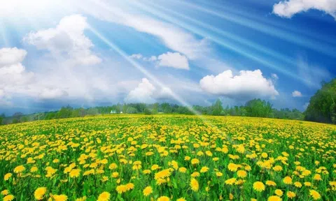 Xuân Bính Ngọ 2026 - Niềm tin vào sức vươn lên mãnh liệt của dân tộc