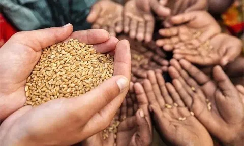 Đảm bảo an ninh lương thực trong tiến trình phát triển bền vững