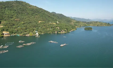 Lồng cá giữa sóng nước Hồ Hòa Bình – Đánh thức tiềm năng thủy sản xanh