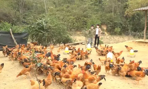 Nhà khoa học trẻ gắn bó với nhà nông trên biên giới xứ Lạng