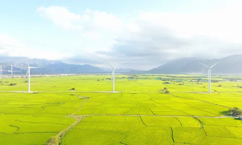 Giải pháp công nghệ giảm phát thải và loại bỏ khí nhà kính - Đột phá chiến lược để đạt được mục tiêu Net Zero