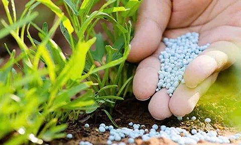 Quản lý vật tư nông nghiệp: Hướng tới nền nông nghiệp sinh thái và trách nhiệm