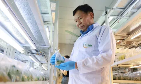 GS, TS Phạm Văn Hội - Nhà khoa học gắn bó với nông nghiệp Việt Nam