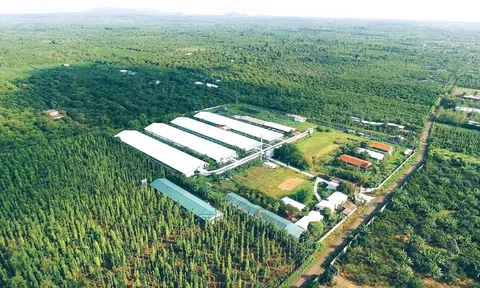 Từ kinh tế truyền thống đến kinh tế xanh hành trình chuyển đổi vì mai sau