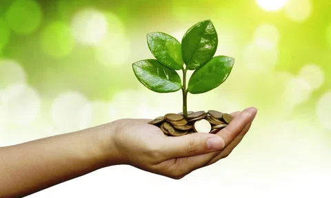 Tiêu chí xanh trong phát triển kinh tế