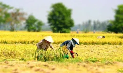 Làng quê Việt Nam - miền ký ức xanh trong tâm hồn người Việt