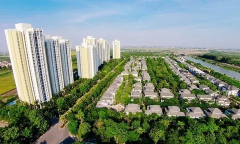 Một số giải pháp phát triển kinh tế xanh tại Việt Nam