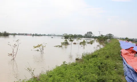 Ngăn sạt lở lan rộng, Bắc Ninh phê duyệt gấp dự án tại hai tuyến sông trọng yếu