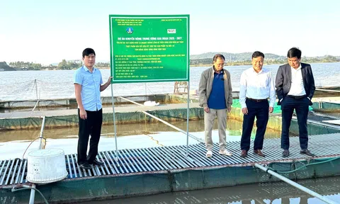 Những mô hình “đẻ ra giá trị” trên các vùng sản xuất ở Bắc Ninh