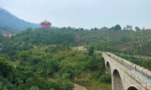 Bắc Ninh phân bổ kinh phí chăm sóc rừng phòng hộ, đặc dụng đợt 1 năm 2026