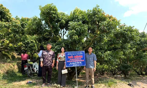 Từ vượt khó sang nâng giá trị: Bước chuyển mình của ngành trồng trọt ở Bắc Ninh