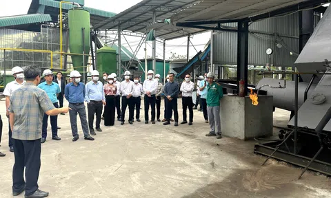 Công ty Cổ phần Môi trường Năng lượng Xanh Asian Bắc Giang – Tiên phong công nghệ “không phát thải” trong xử lý rác thải