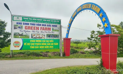 Từ cánh đồng thành điểm đến trải nghiệm ở Bắc Ninh