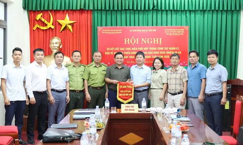 Tăng cường phối hợp bảo vệ rừng tại Sơn Động: Giữ vững diện tích rừng, nâng cao hiệu quả quản lý
