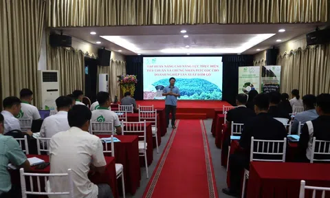 Bắc Ninh nâng cao năng lực truy xuất nguồn gốc cho doanh nghiệp sản xuất viên nén gỗ
