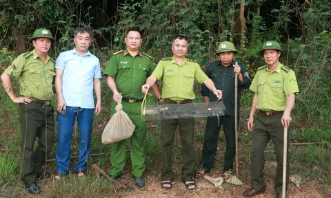 Thả hai cá thể động vật hoang dã về rừng tự nhiên tại Bắc Ninh