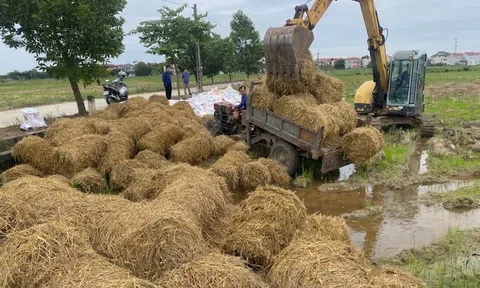 Biến rơm rạ thành “mỏ vàng” trên đồng ruộng: Bắc Ninh mở hướng đi mới cho nông nghiệp tuần hoàn