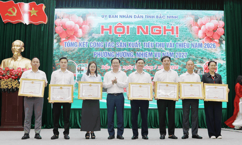 Vải thiều Bắc Ninh lập kỷ lục về giá trị kinh tế, hướng tới vụ mùa bền vững năm 2027