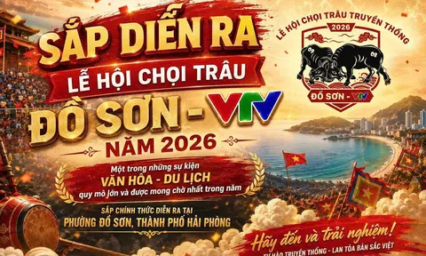 Đồ Sơn tổ chức chuỗi hoạt động bên lề Lễ hội chọi trâu năm 2026