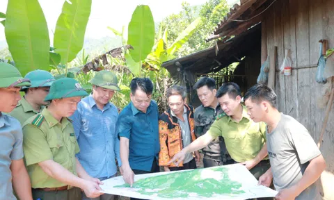 Bắc Ninh: Rà soát ranh giới đất bảo tồn tại Khe Đin, xã An Lạc