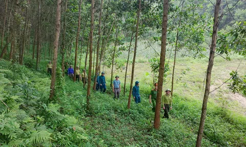 Thái Nguyên tháo “điểm nghẽn” giao rừng, mở đường cho sinh kế bền vững