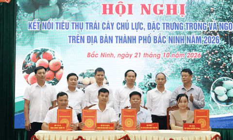 Từ vườn cây đến thị trường quốc tế: Mở lối cho trái cây Bắc Ninh
