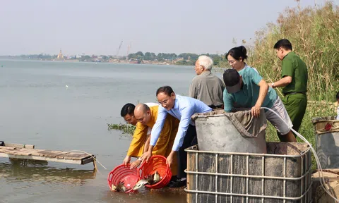 Bắc Ninh lan tỏa thông điệp phóng sinh có trách nhiệm