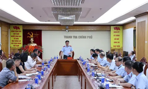 Thanh tra Chính phủ công bố quyết định thanh tra Handico và PVFCCo