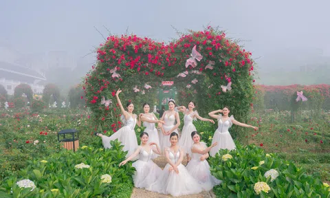 Sun World Fansipan Legend khai mạc Lễ hội hoa hồng 2026 - “Bản giao hưởng hoa hồng”