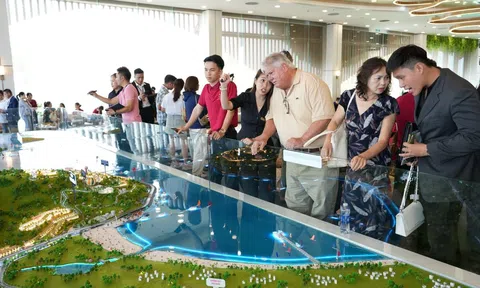 Ráp căn Đảo Ngọc: Không khí cạnh tranh nghẹt thở trên cả 3 miền, căn đẹp ra đến đâu “khớp lệnh” đến đó