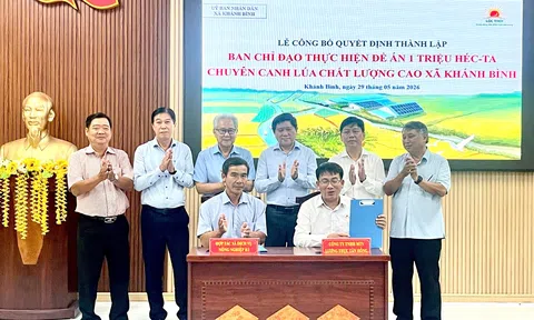 Đề án 1 triệu héc-ta lúa ở Cà Mau: Mở đường cho “hệ sinh thái nông nghiệp xanh” vùng ĐBSCL