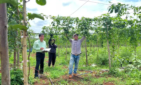 Những chuyến đi không thể nào quên